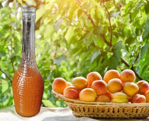 sirop d'abricot